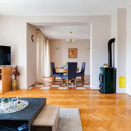Daria 1 By Interhome Apartment Anic